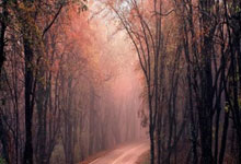 解签起名探索中国文化的深层智慧