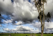 美容院起名大全及寓意