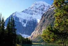 网名中的情感密码如何为伤感的女生起一个有文化的网名