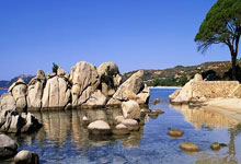 赵氏永字辈起名