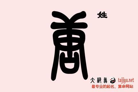 男宝宝名字: