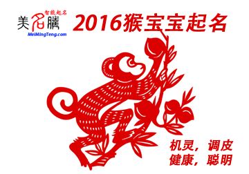 2016年出生的猴宝宝起名大全