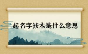 五行缺木取名最旺男孩名字