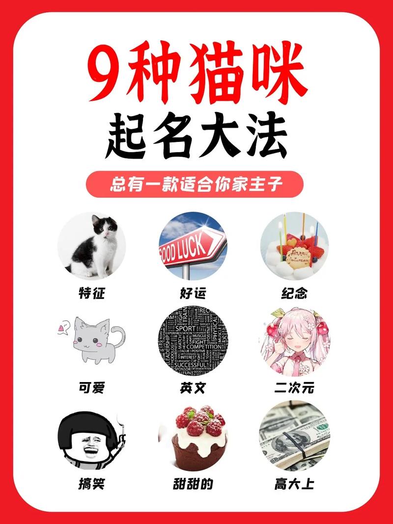 给猫起名字好听又吉利