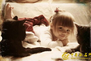 2016年羊宝宝起名大全