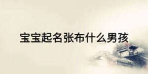 张宏起名字