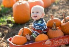 安康起名网免费打分