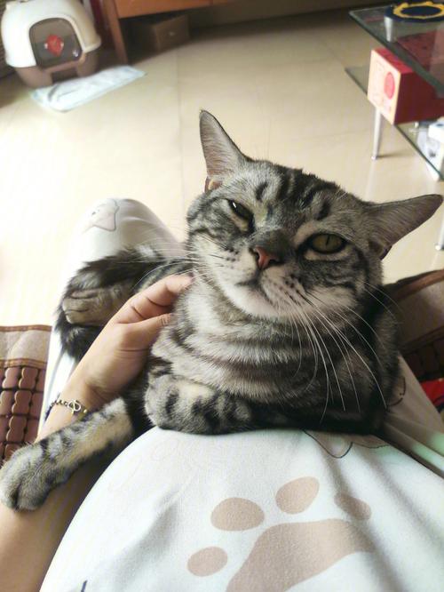 元旦出生的牛宝宝