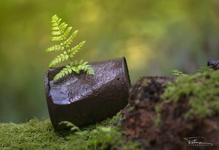 摄影起名什么名字好听