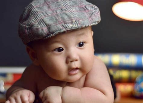 属猪的男孩起名字大全