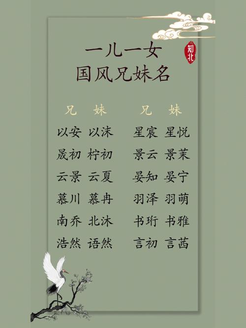起名字