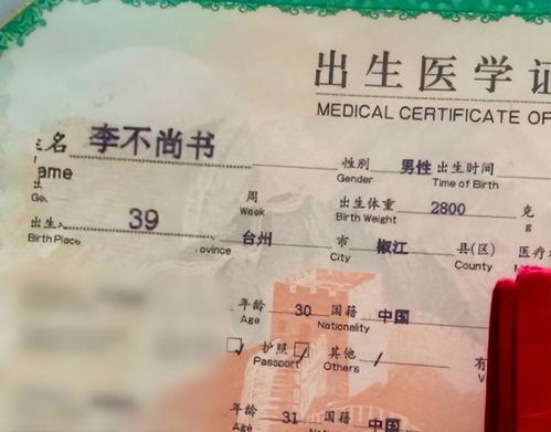 宝宝起名可以用英文吗吗怎么写