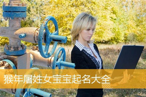 姓屠的男孩名字洋气点