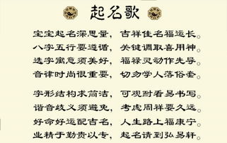 宝宝取名起名app