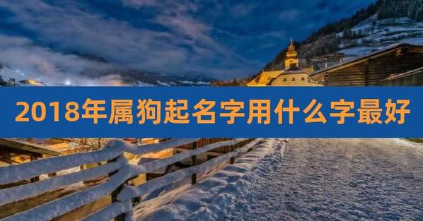 给狗起名字起什么名字最好听