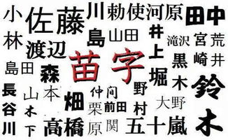 本人姓张给女宝宝起名字