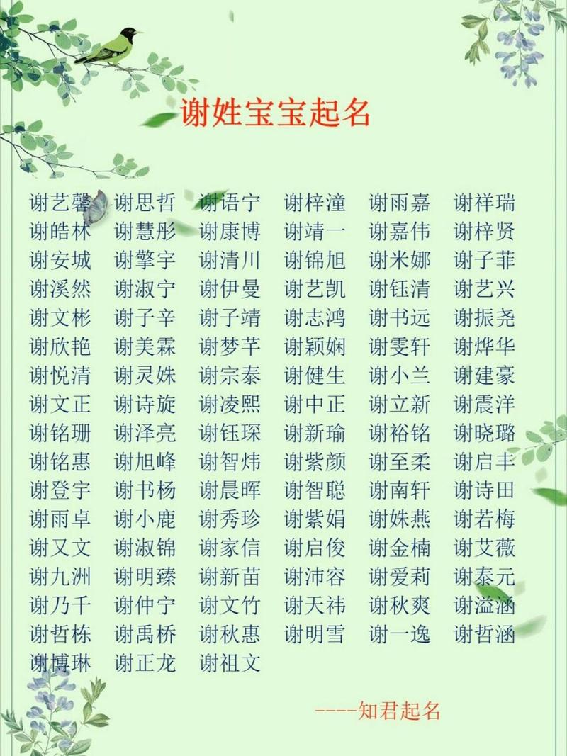 宗姓男孩取名加字辈