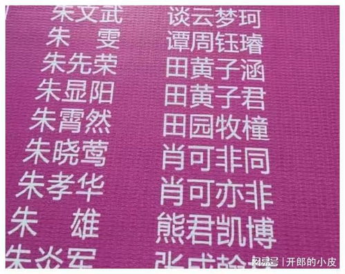 朱姓龙女孩起名简单大方的名字