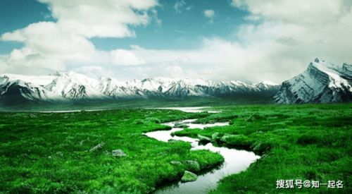 刘姓带木火的男孩名字大全