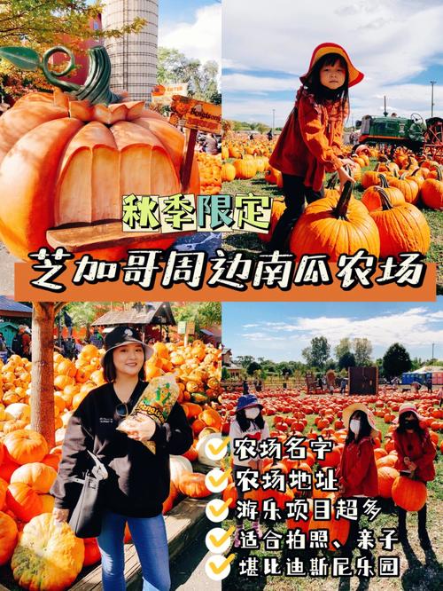 农场名字取名大全集