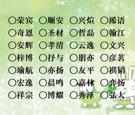 苏姓男宝宝起名字大全