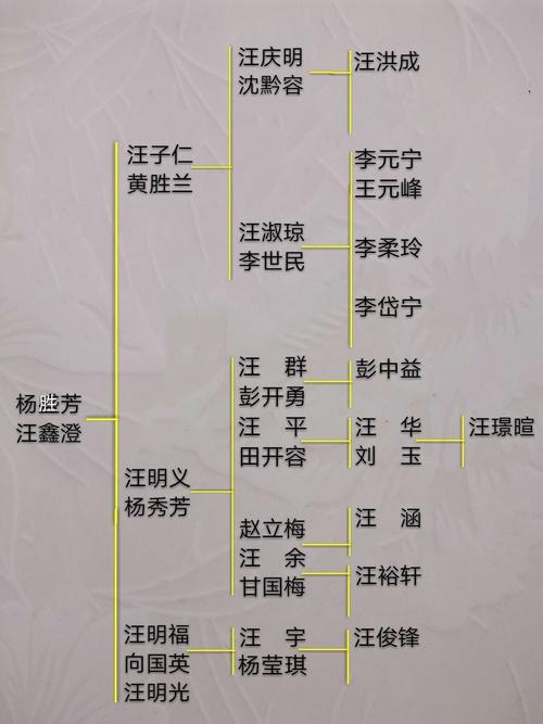 名字必须按家谱吗