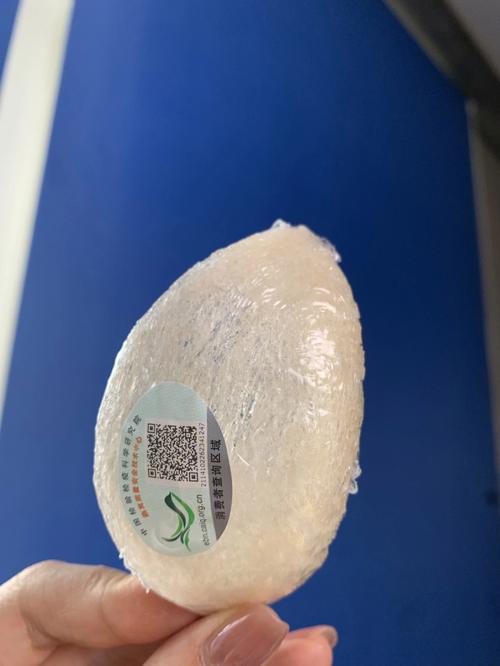 燕窝居是什么意思