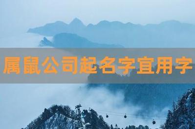 公司起名重名查询