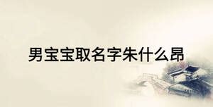 男孩起名朱字辈的名字