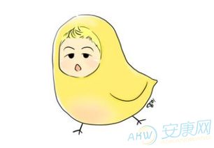 生肖鸡的名字大全