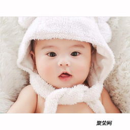 属鸡男孩名字最佳用字