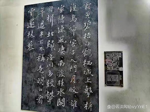 杜氏女孩起名字