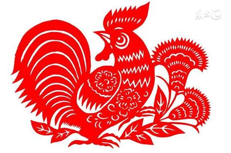 鸡女宝宝取名字最佳字