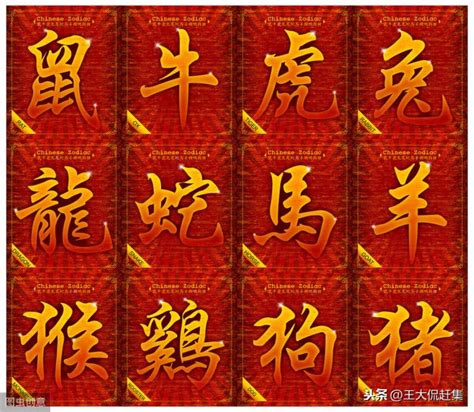 炉中火命适合开饭店吗