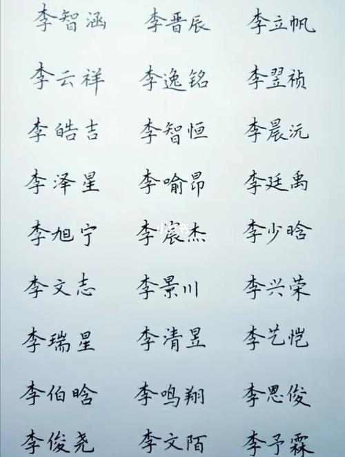 姓李属虎男孩名字大全
