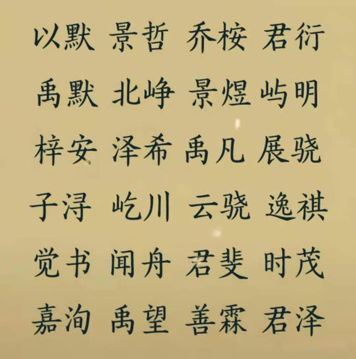 2020姓范男孩名字