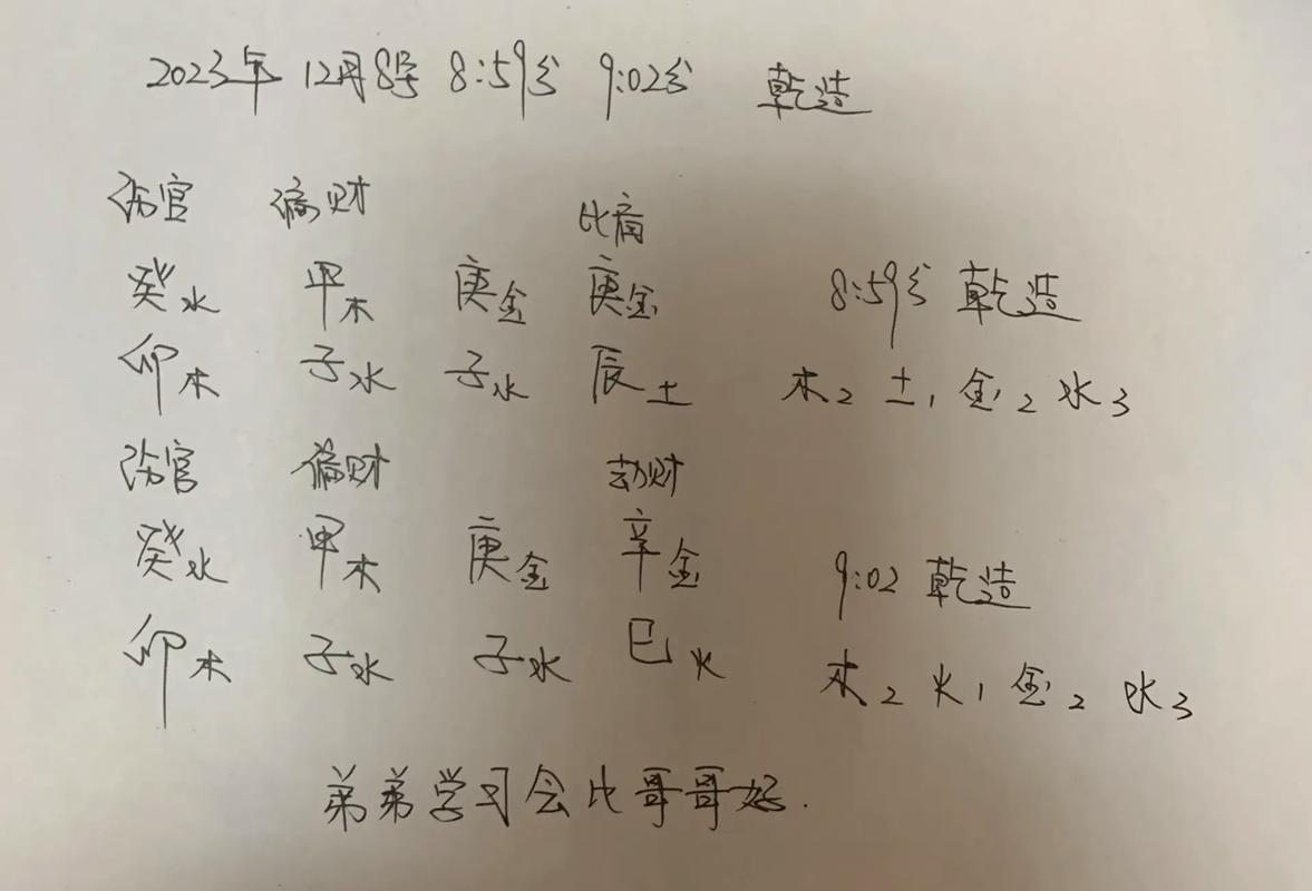 双胞胎男孩英文怎么说