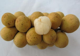 水果店名起什么好