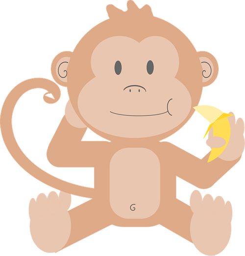 属兔卯时出生的男孩取名