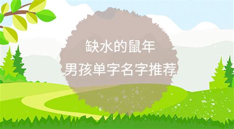 属猪女孩寓意好的名字