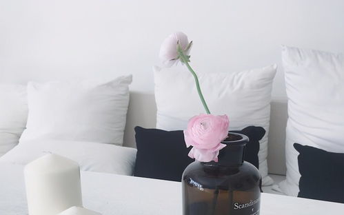 揭秘三大星座最花心的秘密