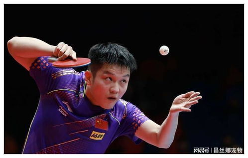 乒乓球巅峰对决陈梦与阿库拉的较量，王艺迪的幸运签，王曼昱的挑战，陈幸同与孙颖莎的决战