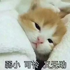 情感摇摆易出轨的星座女