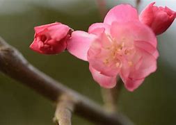 袋装食品过了保质期还能吃吗