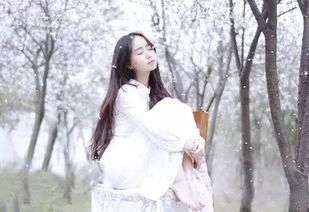 桃花运看上升还是太阳