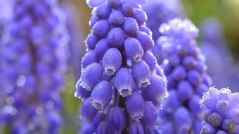 七月上旬的三大幸运星座事业顺利,感情甜蜜,运势达到巅峰!