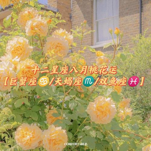 白羊座(3月21日–4月19日)