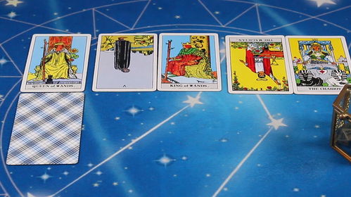 双鱼座下周爱情运势获得双向奔赴的感情