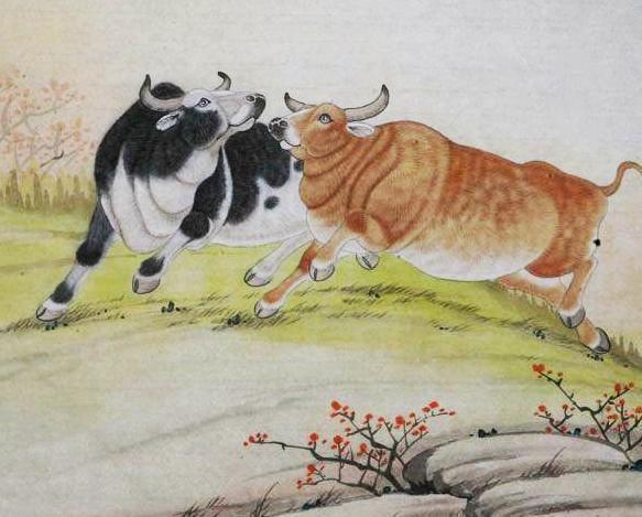 老来有福的面相