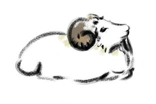 十二星座运势每日更新水墨先生